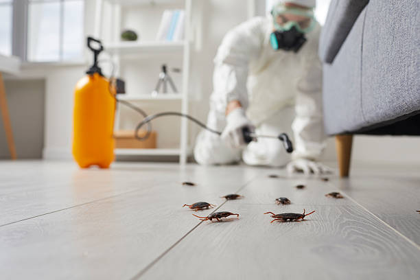 Commercial Kitchen Cockroach Control in Warden